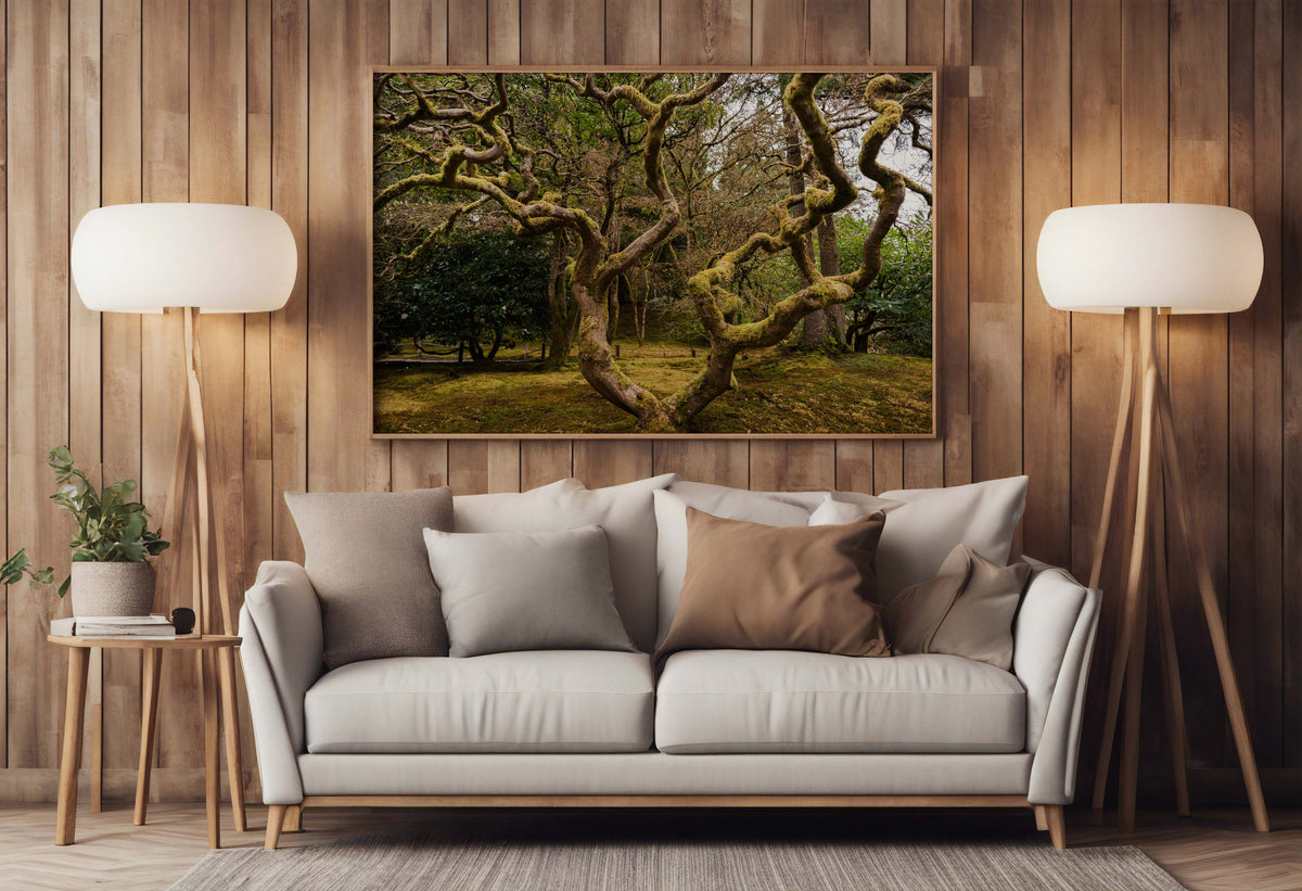 Ancient Form — Moss-Covered Trees