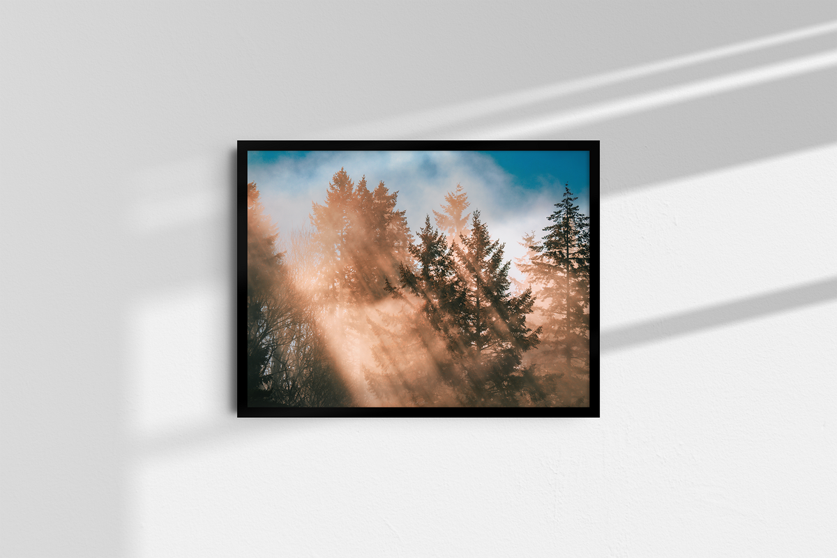 Autumn Rays - Landscape-3