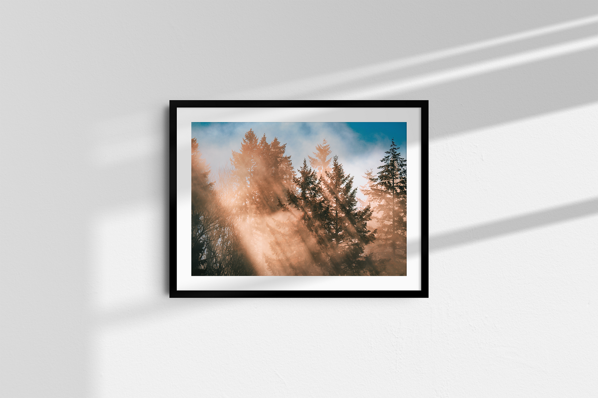 Autumn Rays - Landscape-2