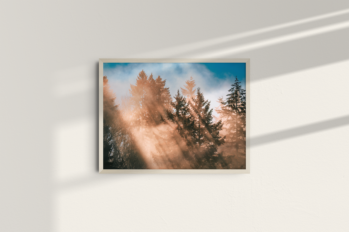 Autumn Rays - Landscape-7