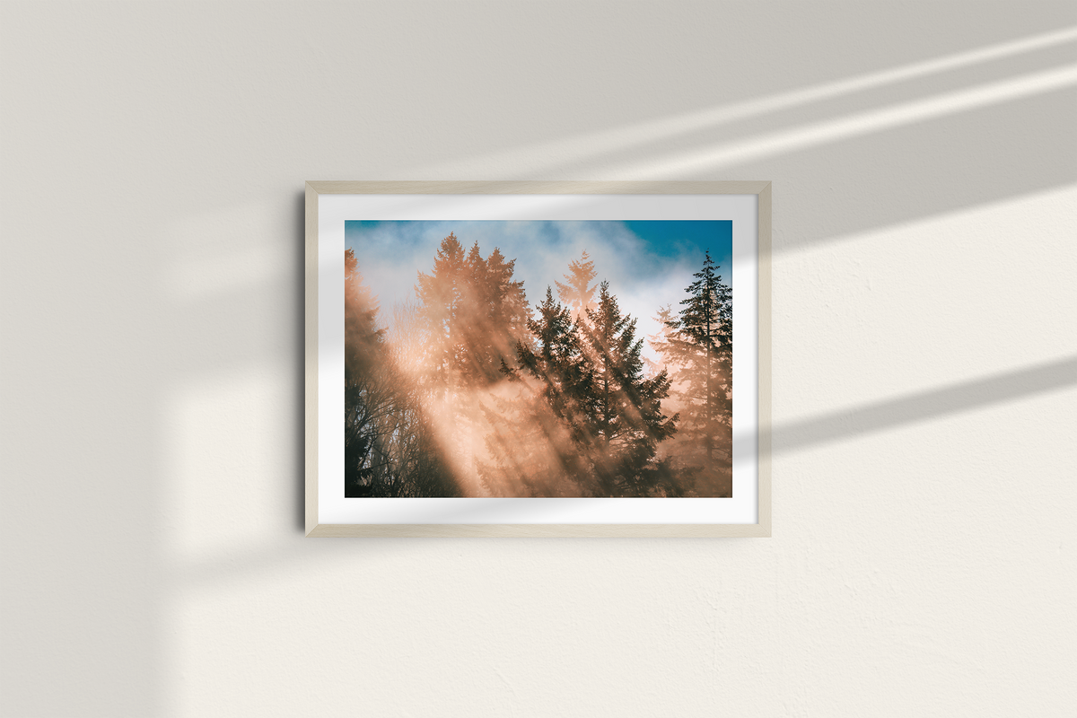 Autumn Rays - Landscape-6
