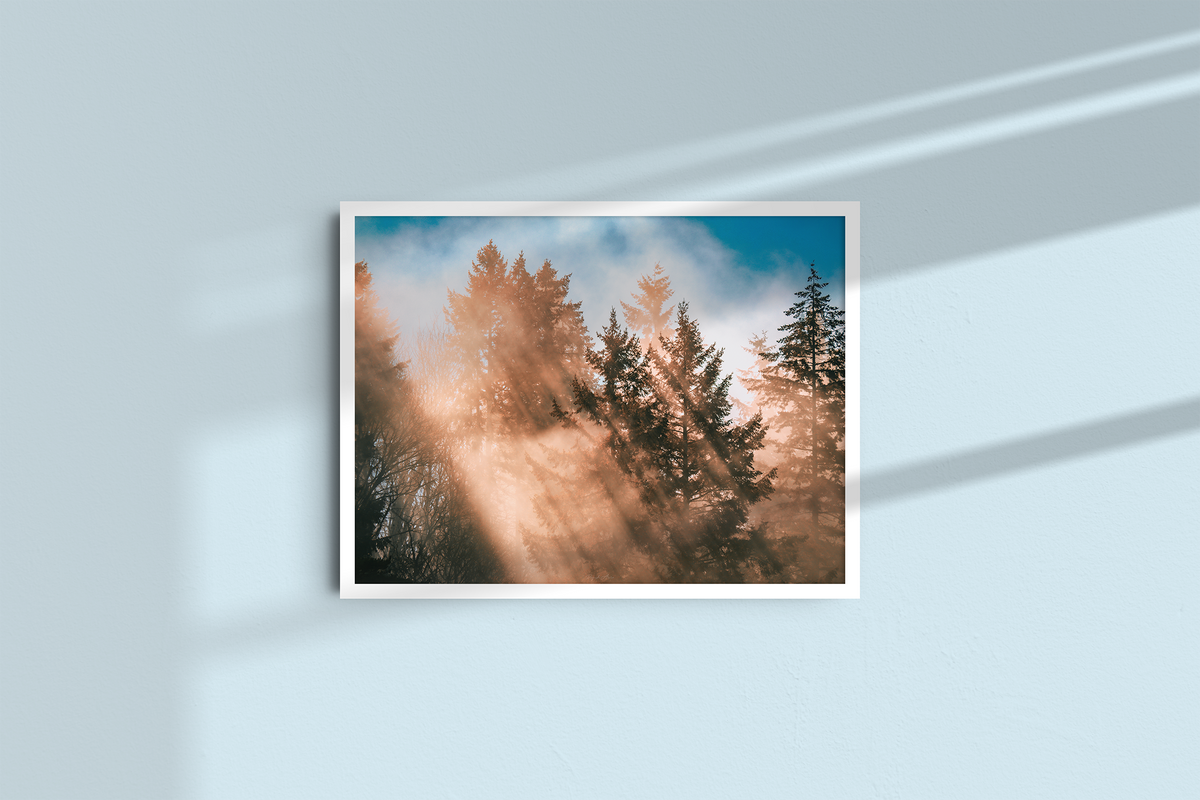 Autumn Rays - Landscape-5