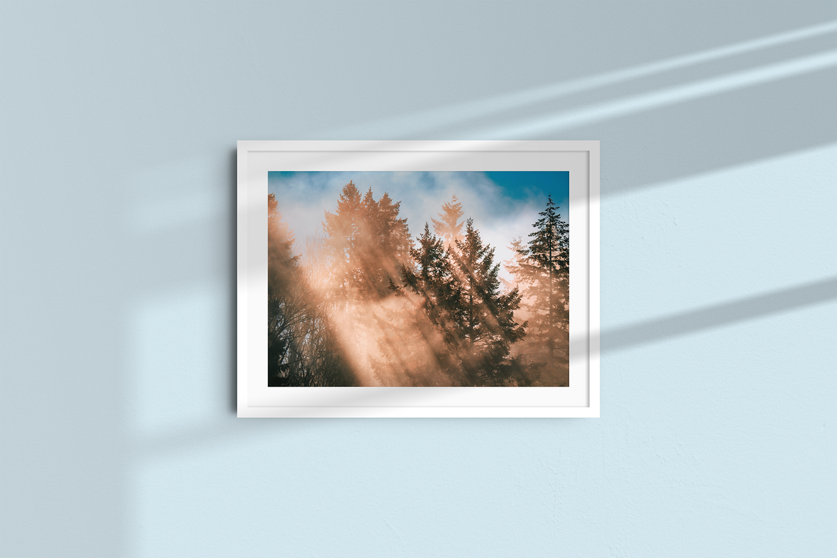Autumn Rays - Landscape-4