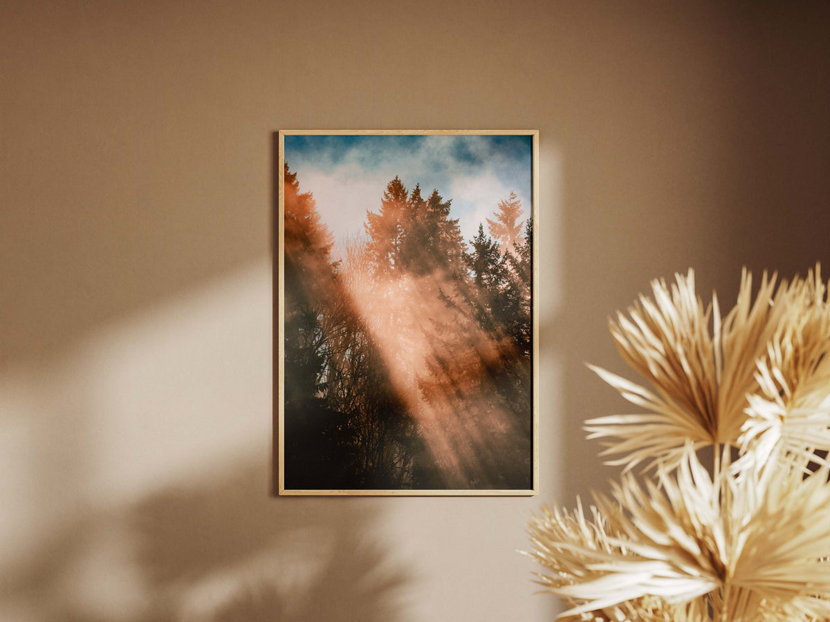 Autumn Rays - Portrait