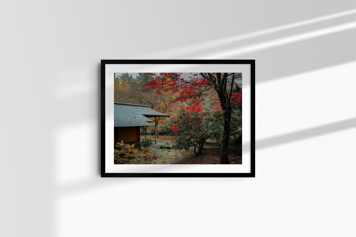 japanese-garden-in-crimson-autumn-small_black_mat.jpg