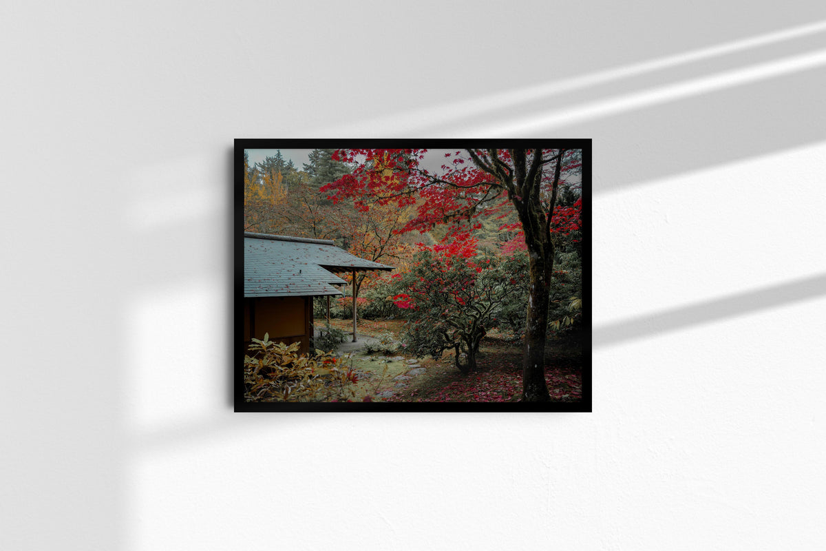 japanese-garden-in-crimson-autumn-small_black_no-mat.jpg