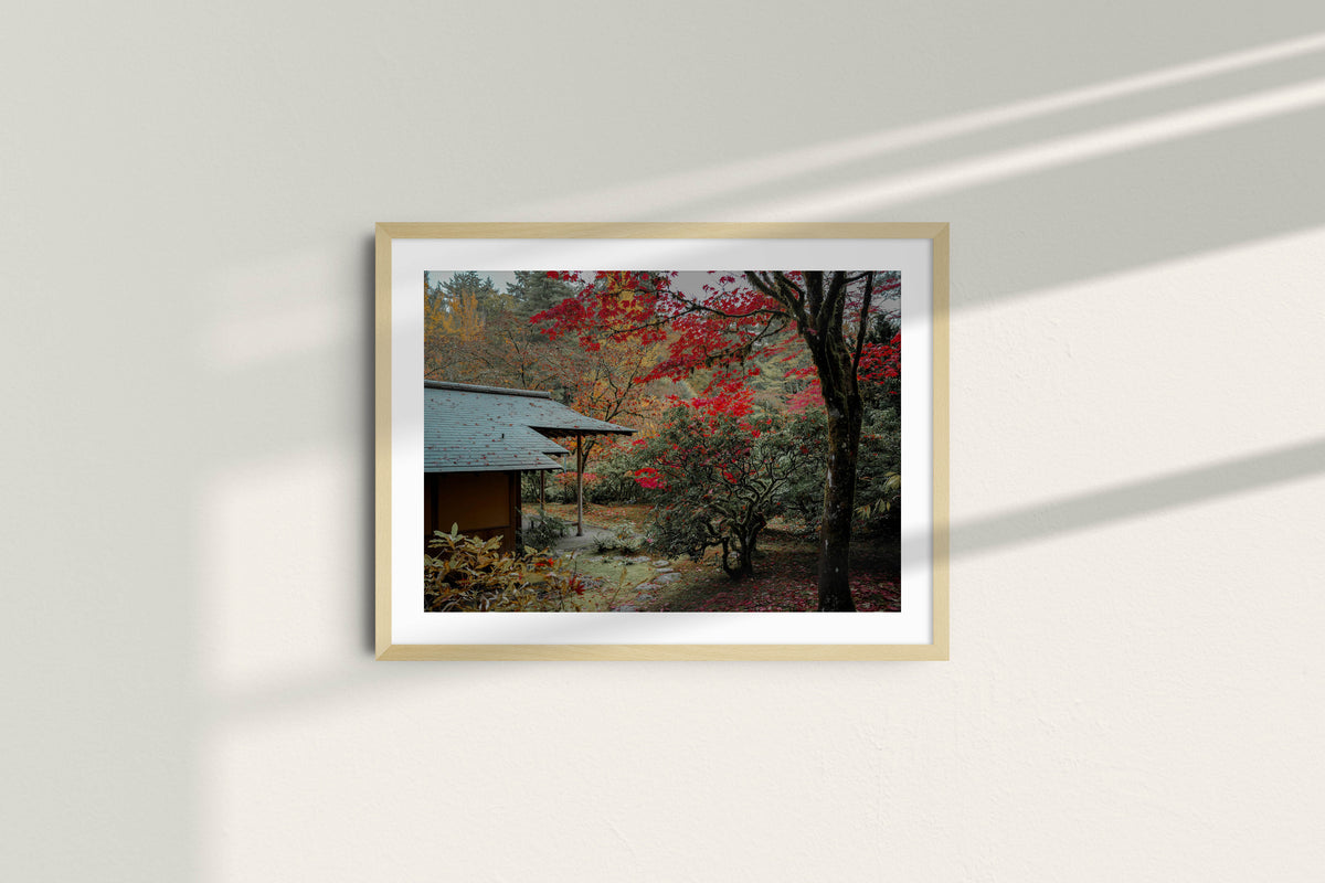 japanese-garden-in-crimson-autumn-small_natural_mat.jpg