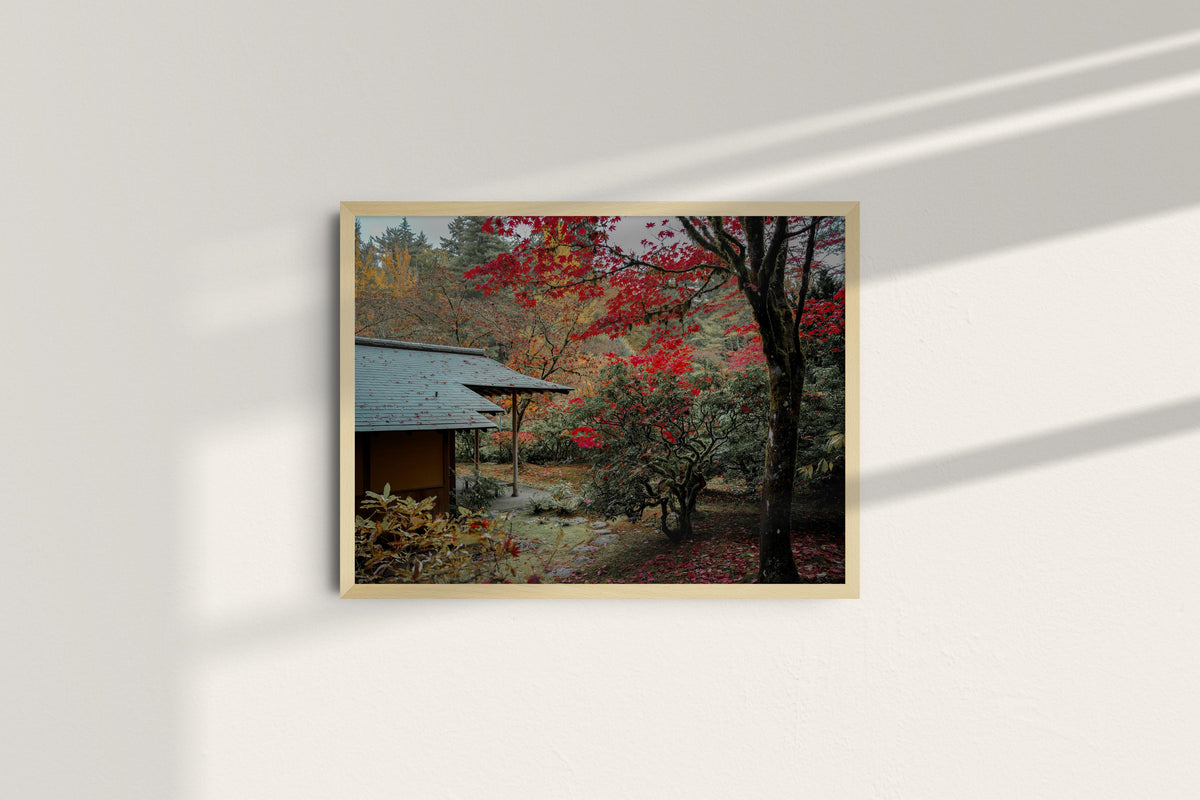 japanese-garden-in-crimson-autumn-small_natural_no-mat.jpg