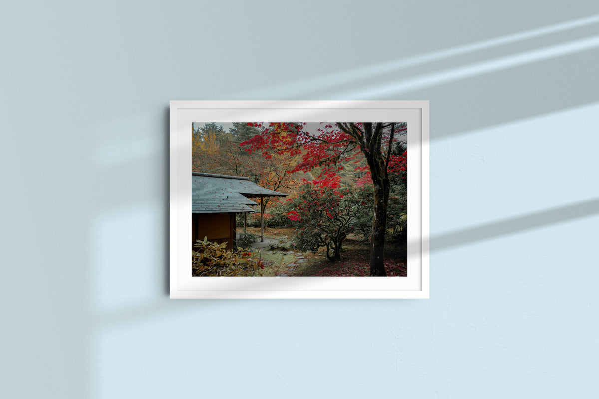 japanese-garden-in-crimson-autumn-small_white_mat.jpg