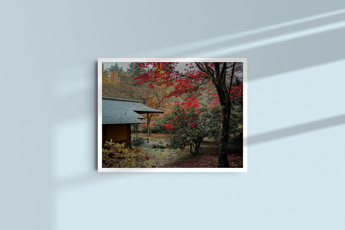 japanese-garden-in-crimson-autumn-small_white_no-mat.jpg