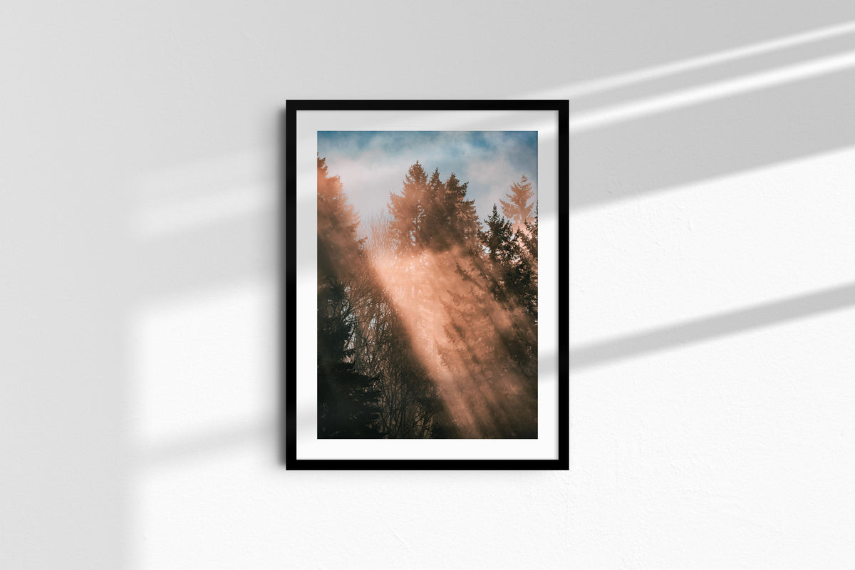 Rays from Heaven - Portrait, black frame with mat