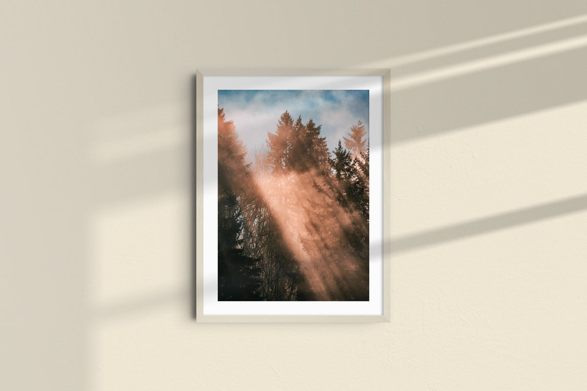 Rays from Heaven - Portrait, natural frame with mat