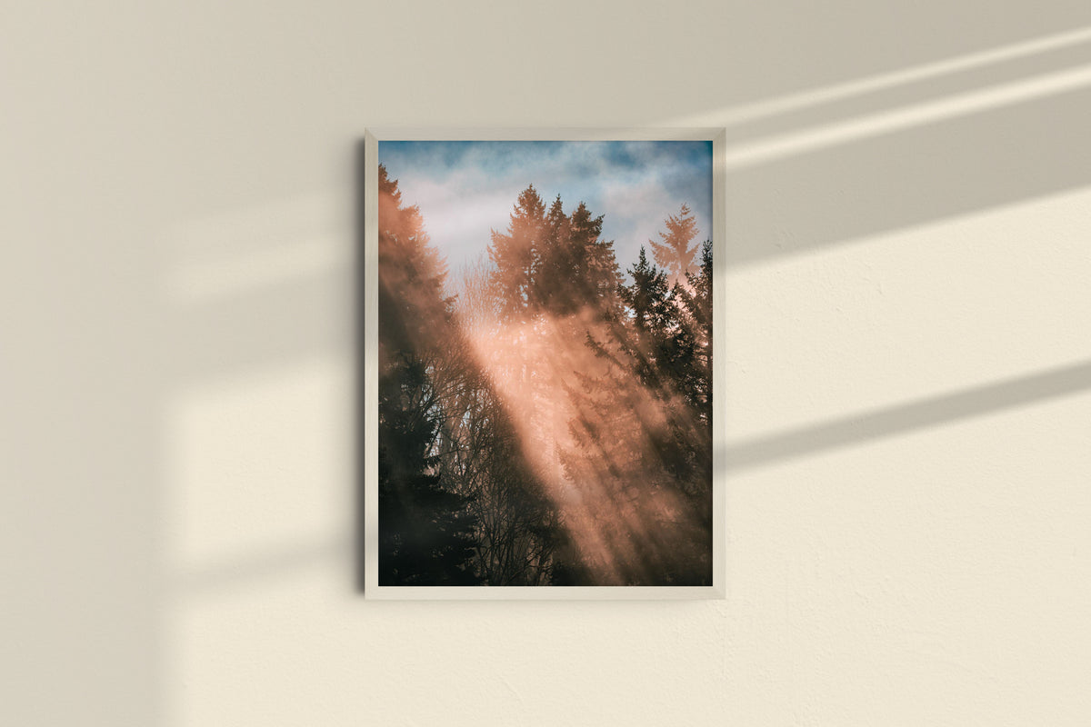 Rays from Heaven - Portrait, natural frame without mat