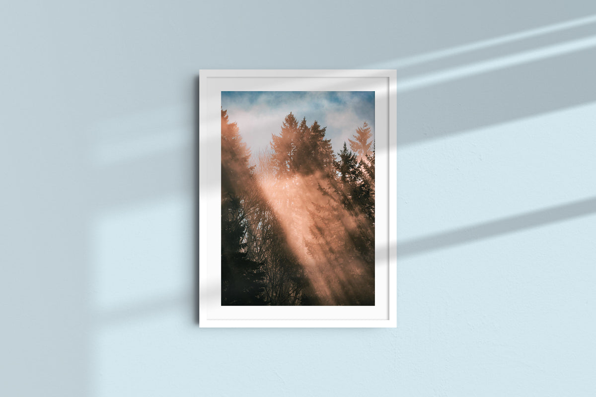 Rays from Heaven - Portrait, white frame with mat
