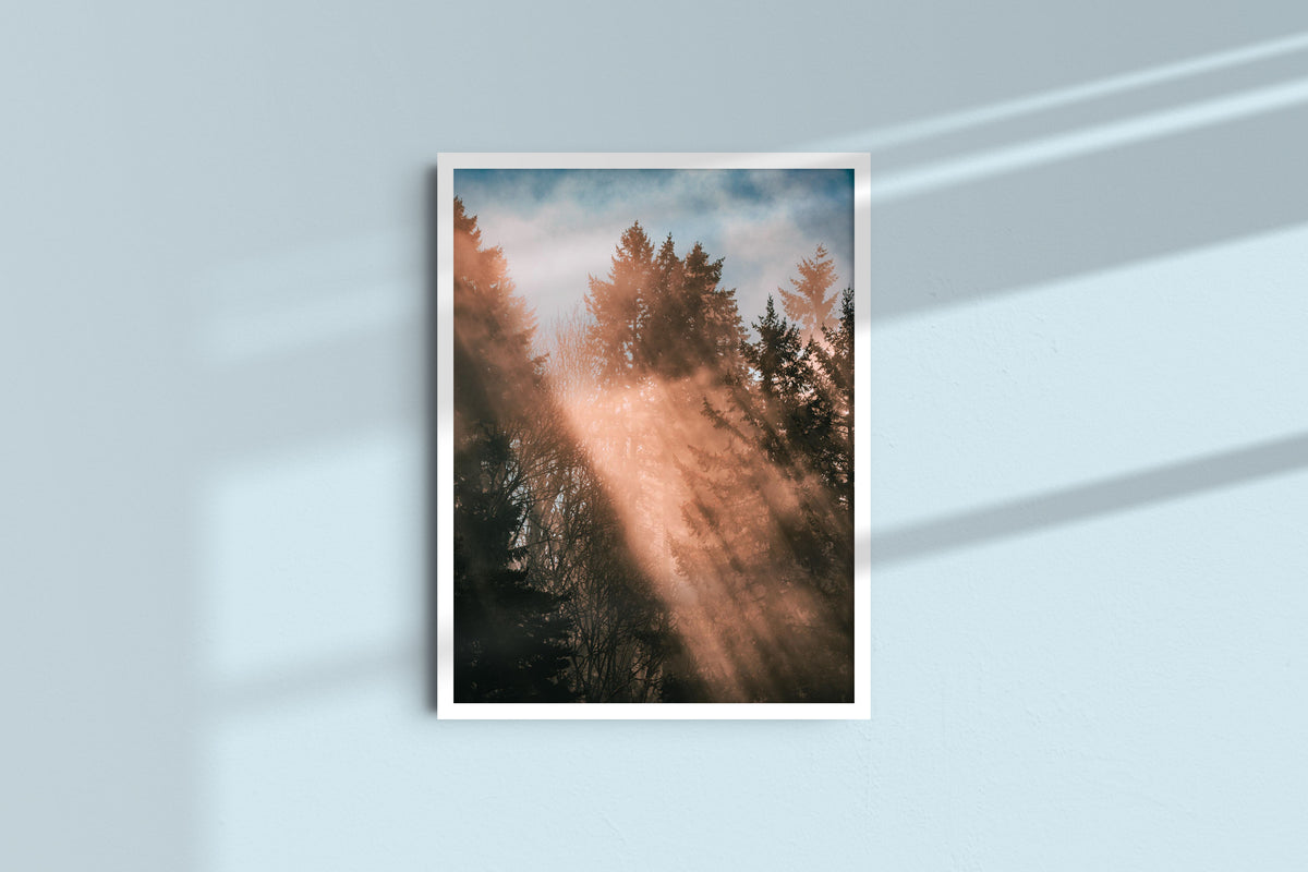 Rays from Heaven - Portrait, white frame without mat